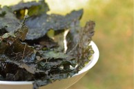spicy kale chips