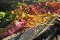 carrots at SF Ferry Building market