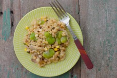 barley risotto with fava beans, corn and mushrooms